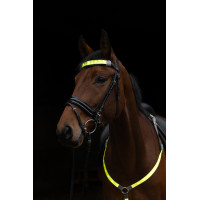 LED Frontriem Covalliero Geel LED Frontriem Covalliero Geel