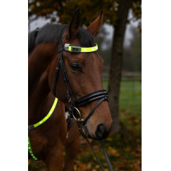 Frontal à LED Covalliero Jaune Frontal à LED Covalliero Jaune