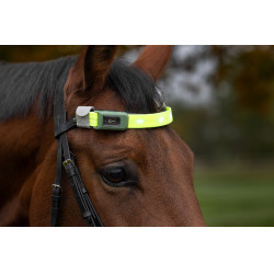 Frontal à LED Covalliero Jaune Frontal à LED Covalliero Jaune