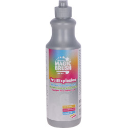 Shampoing Magic Brush Fruit explosion Multi-couleurs