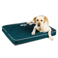 Lit pour chien Arena Vert