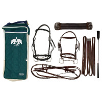 Bridonstas Arena Groen