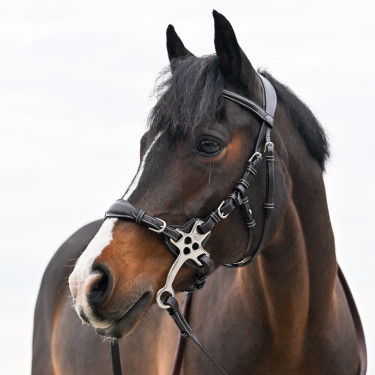 Lederen hackamore Jump'In korte en platte takken Pony Lederen hackamore Jump'In korte en platte takken Pony