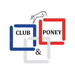 Mors à olives Jump'In recouvert de cuir Mors à olives Jump'In recouvert de cuir