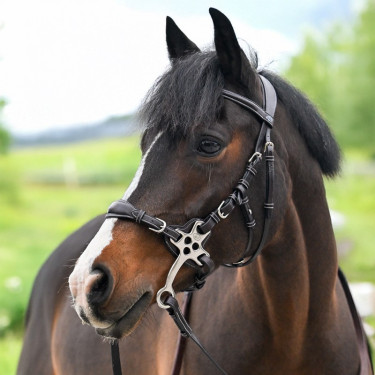 Hackamore Hoofdstel Jump'In One Premium Hackamore Hoofdstel Jump'In One Premium
