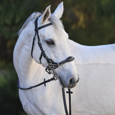 Hackamore Hoofdstel Jump'In One Premium Hackamore Hoofdstel Jump'In One Premium