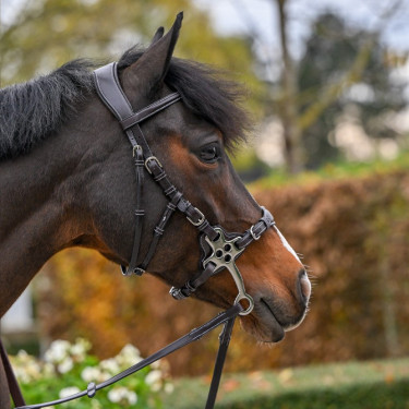 Hackamore Hoofdstel Jump'In One Premium Hackamore Hoofdstel Jump'In One Premium