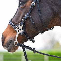 Hackamore Hoofdstel Jump'In One Premium Havana Bruin