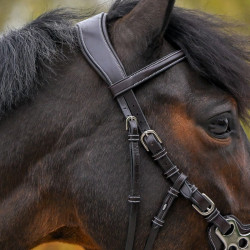 Bridon Hackamore Jump'In One Premium Havane Marron Bridon Hackamore Jump'In One Premium Havane Marron