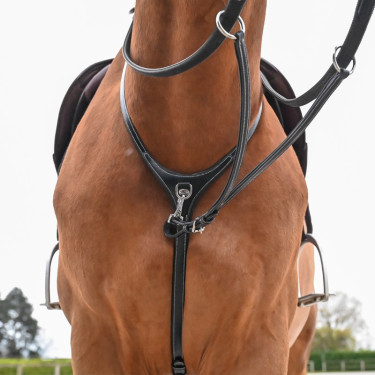 Halsband en afneembare martingaal Jump'In Collection One Premium Halsband en afneembare martingaal Jump'In Collection One Premium
