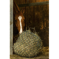 Hooinet Hippotonic Zari Groen / zilverkleurig