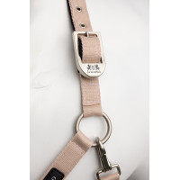 Licol Hardwick B Vertigo Sepia rose