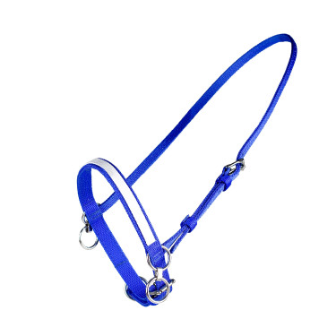 PETIT LICOL NYLON AVEC ANNEAU PETIT LICOL NYLON AVEC ANNEAU
