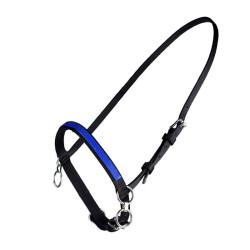 PETIT LICOL NYLON AVEC ANNEAU