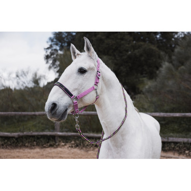 Halster en leadrope Horze Graffiti Pony Roze begonia