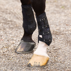 Guêtres de dressage HV Polo Pro Movement Noir