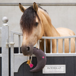 Jouet pour le box Imperial Riding Moony Jouet pour le box Imperial Riding Moony
