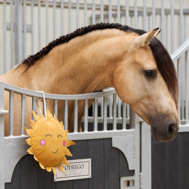 Speelgoed voor de box Imperial Riding Sunny Speelgoed voor de box Imperial Riding Sunny
