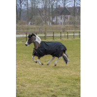 Couverture Irish Turnout Bucas 100g Noir / or Couverture Irish Turnout Bucas 100g Noir / or