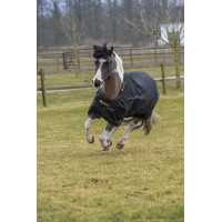 Couverture Irish Turnout Bucas 100g Noir / or Couverture Irish Turnout Bucas 100g Noir / or
