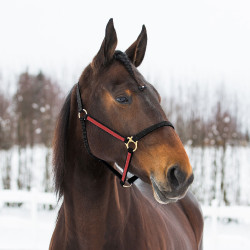 HALSTER YANKEE NYLON 20 MM Zwart / rood