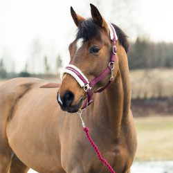 Longe Howard Crescendo Horze Violet