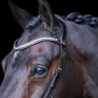 Bridon HV Polo Legacy Anatomique deluxe Marron chocolat