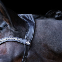 Bridon HV Polo Legacy Anatomique deluxe Noir