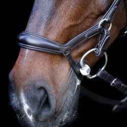 Bridon HV Polo Legacy Anatomique deluxe Marron chocolat Bridon HV Polo Legacy Anatomique deluxe Marron chocolat