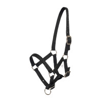 Licol foal HV Polo Nena Noir