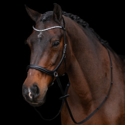 Bitloos hoofdstel HV Polo Legacy
