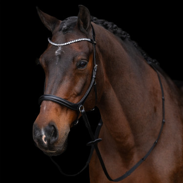 Bitloos hoofdstel HV Polo Legacy
