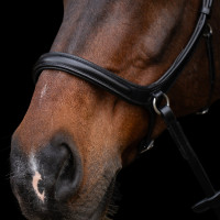 Bitloos hoofdstel HV Polo Legacy Chocoladebruin