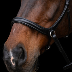 Bridon sans mors HV Polo Legacy Noir Bridon sans mors HV Polo Legacy Noir