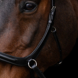 Bridon sans mors HV Polo Legacy Noir Bridon sans mors HV Polo Legacy Noir