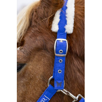Halster en halstertouw Harcour Teschic Elektrisch blauw Halster en halstertouw Harcour Teschic Elektrisch blauw