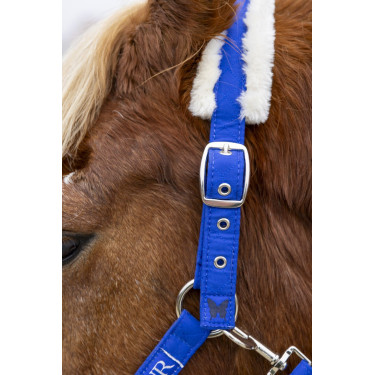 Halster en halstertouw Harcour Teschic Halster en halstertouw Harcour Teschic