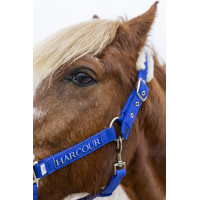 Halster en halstertouw Harcour Teschic Elektrisch blauw Halster en halstertouw Harcour Teschic Elektrisch blauw
