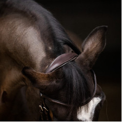 Bridon Stübben Pro-Jump avec Slide&Lock Ebène / ébène