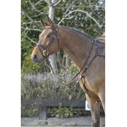 Collier de chasse Stübben SideFit avec fourche amovible et réglable Ebène / ébène Collier de chasse Stübben SideFit avec fourche amovible et réglable Ebène / ébène