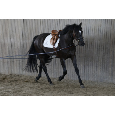 Lange teugels AKA Stübben Blauw / Wit