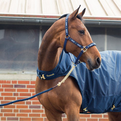 Longe chaîne Horze Holbrook Bleu foncé peacoat