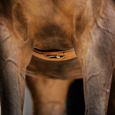 Sangle Stübben cuir Contours élastiques sur les deux côtés Tabac Marron
