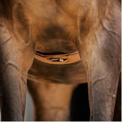 Stübben singel leer Elastische inzetstukken aan beide zijden Tabak Bruin