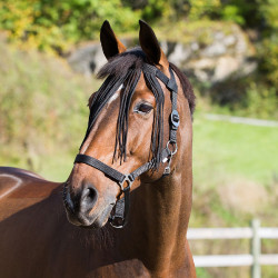 Horze Frontal vliegenfrontriem Horze Frontal vliegenfrontriem