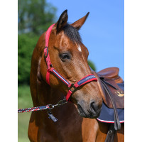 Halster en halstertouw Tommy Hilfiger Equestrian Yale Primair rood