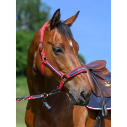 Halster en halstertouw Tommy Hilfiger Equestrian Yale Halster en halstertouw Tommy Hilfiger Equestrian Yale