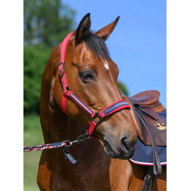 Halster en halstertouw Tommy Hilfiger Equestrian Yale Halster en halstertouw Tommy Hilfiger Equestrian Yale