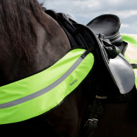 Reflecterend harnas-halsband Horze Geel