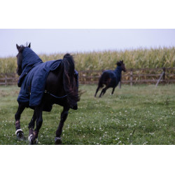 All Weather waterdichte buitenafdekking Pro Kentucky Marine Marineblauw All Weather waterdichte buitenafdekking Pro Kentucky Marine Marineblauw